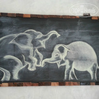 фото из отзыва ID 899947