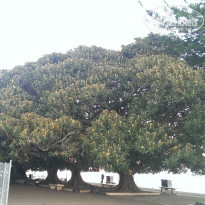 фото из отзыва ID 899546