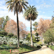 фото из отзыва ID 899546