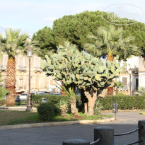 фото из отзыва ID 899546