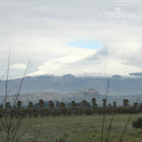 фото из отзыва ID 899546