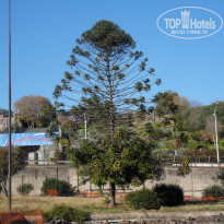 фото из отзыва ID 899546