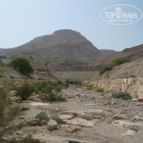 фото из отзыва ID 899395