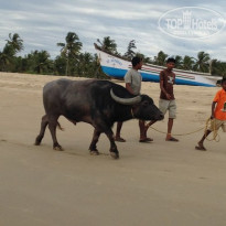 фото из отзыва ID 900100