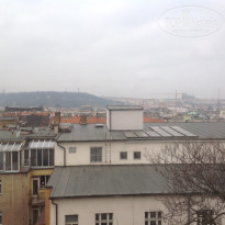 фото из отзыва ID 900138