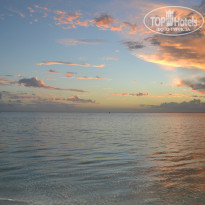 фото из отзыва ID 900285