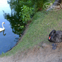 фото из отзыва ID 900285