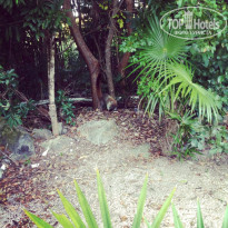 фото из отзыва ID 900383