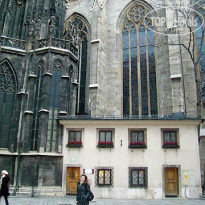 фото из отзыва ID 900428