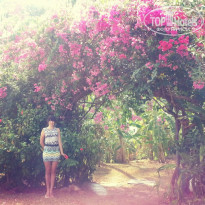 фото из отзыва ID 900435