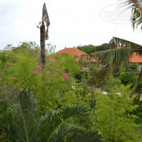 фото из отзыва ID 900473