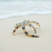 фото из отзыва ID 900511