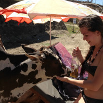 фото из отзыва ID 900518