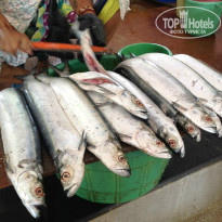 фото из отзыва ID 900518