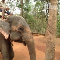 фото из отзыва ID 900518