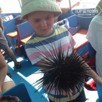 фото из отзыва ID 900518