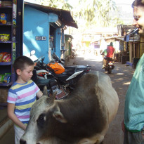 фото из отзыва ID 900518