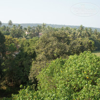 фото из отзыва ID 900817