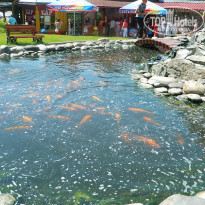 фото из отзыва ID 900860