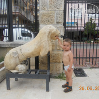 фото из отзыва ID 900958