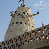 фото из отзыва ID 900145