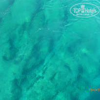 фото из отзыва ID 901091