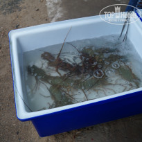 фото из отзыва ID 901142