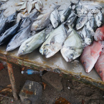 фото из отзыва ID 901142