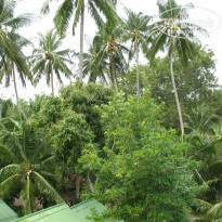 фото из отзыва ID 901208