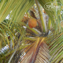 фото из отзыва ID 901281