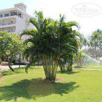 фото из отзыва ID 901332