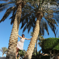 фото из отзыва ID 901445