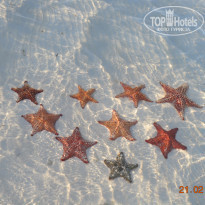 фото из отзыва ID 901596