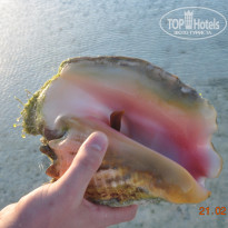 фото из отзыва ID 901596