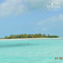 фото из отзыва ID 901596