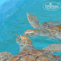 фото из отзыва ID 901596