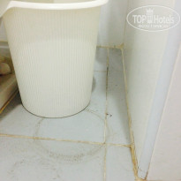 фото из отзыва ID 901611