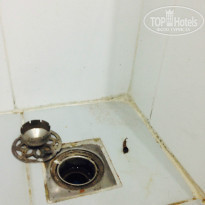 фото из отзыва ID 901611