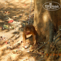 фото из отзыва ID 901620