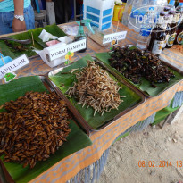 фото из отзыва ID 901620