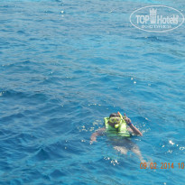 фото из отзыва ID 901620