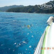 фото из отзыва ID 901620