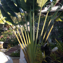 фото из отзыва ID 901622