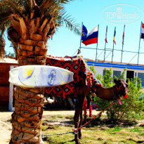 фото из отзыва ID 901645