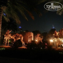 фото из отзыва ID 901909