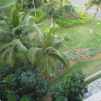 фото из отзыва ID 901939