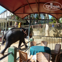 фото из отзыва ID 901466