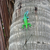 фото из отзыва ID 901359