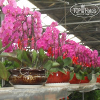 фото из отзыва ID 902045