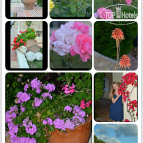 фото из отзыва ID 902113